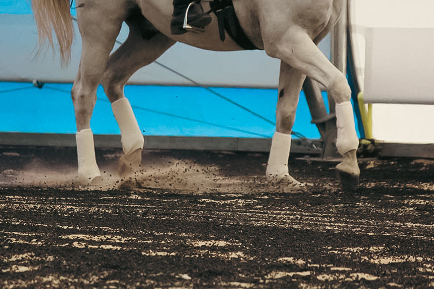 Rubber Mulch for Horse Arena Footing