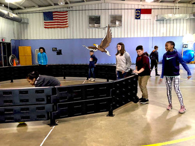 Indoor and Outdoor Gaga Ball Pit